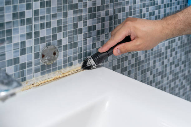 Best Affordable Mold Removal  in Landisville, PA